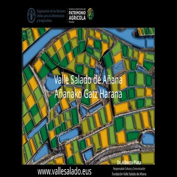 VALLE SALADO DE AÑANA -Alberto Plata