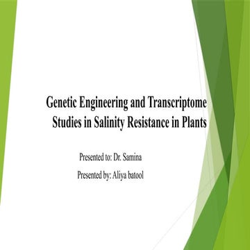 Salinity Resistance in Plants.Rice plant | PPTX