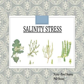 Salinity stress
