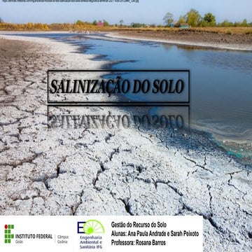 SALINIZAÇÃO DO SOLO .pdf