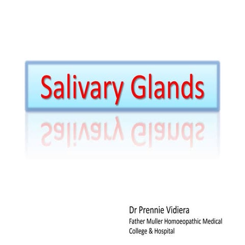 Salivary gland histology