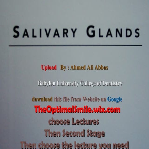  Salivary gland