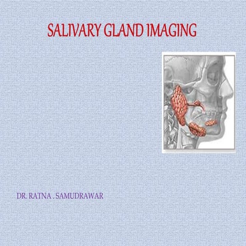 Salivary gland imaging