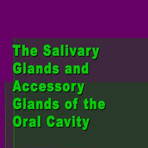 Salivary Glands