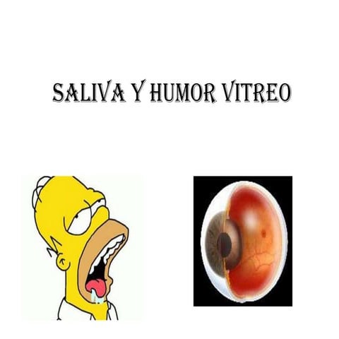 Saliva y humor vitreo | PPTX