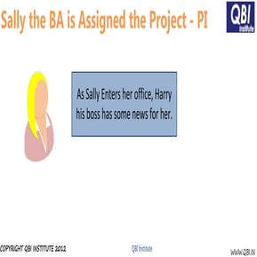 Sally the BA is assigned the Project   Part I