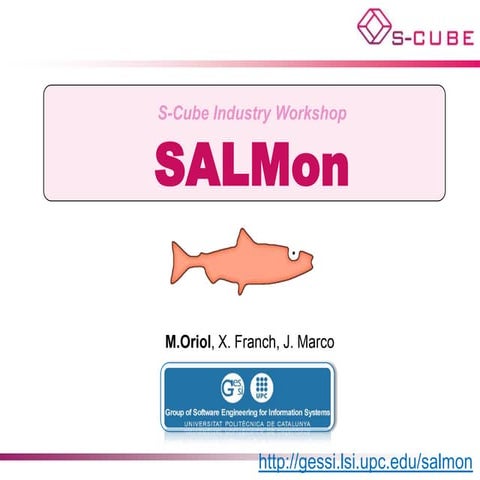 SALMon - S-Cube Industry Workshop