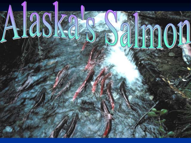 Alaska's Salmon - 5 types of pacific fishes Unknown
