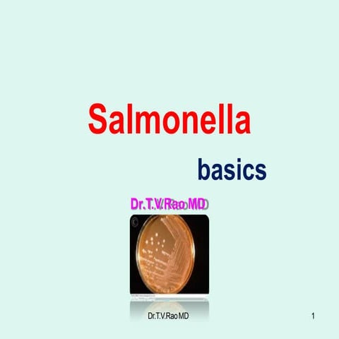 salmonella-120422061415-phpapp02.pptx