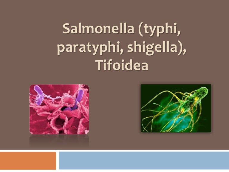 Salmonella (typhi, paratyphi, shigella), Tifoidea