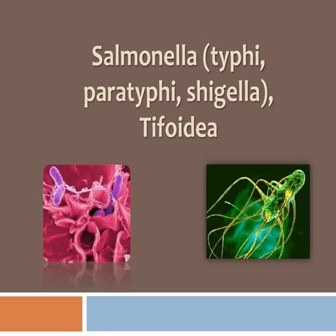Salmonella (typhi, paratyphi, shigella), Tifoidea 