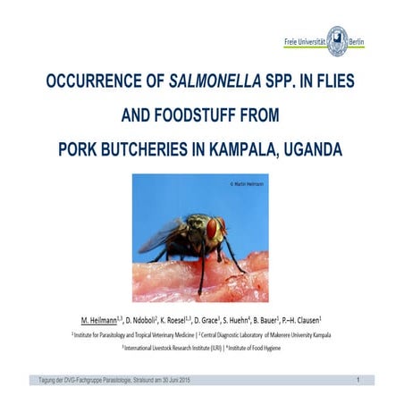 Occurrence of Salmonella spp. in flies and foodstuff from pork butcheries in ...
