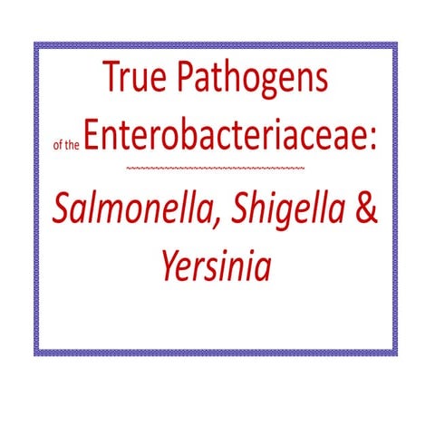 Salmonella Shigella Yersinia.ppt