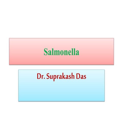 Salmonella typhi
