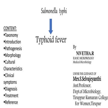 Salmonella typhi-Typhoid fever