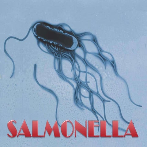 Salmonella