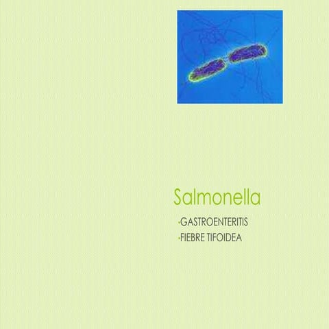 Salmonelosis