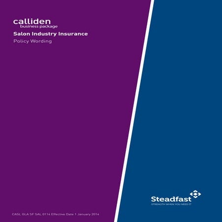 Salon Cover Insurance  PDS