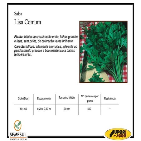 Salsa Lisa Comum | PDF