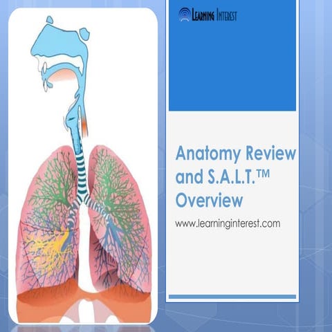 Anatomy Review and S.A.L.T.™ OvervieW