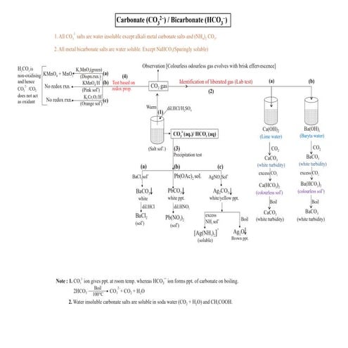 salt anions.pdf