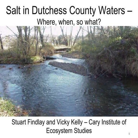 The State of Salt: What We Know about Road Salt Contamination in the NE US