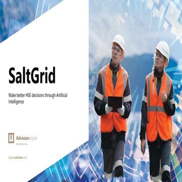 SaltGrid