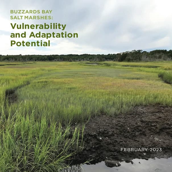 Buzzards Bay Salt Marshes: Vulnerability and Adaptation Potential