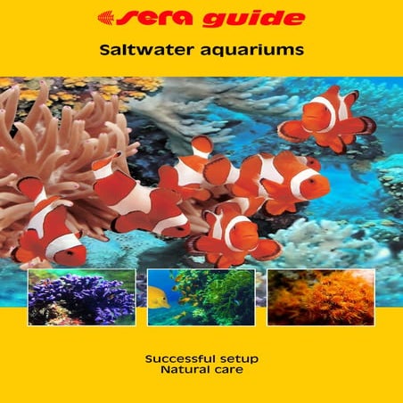 Doug Monahan Recommends this Saltwater Aquarium guide