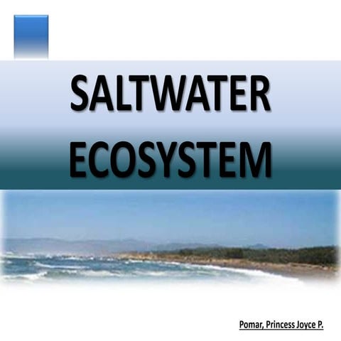 Saltwater Ecosystem