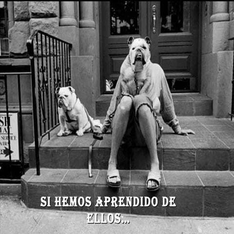 Ellos también son de este planeta.