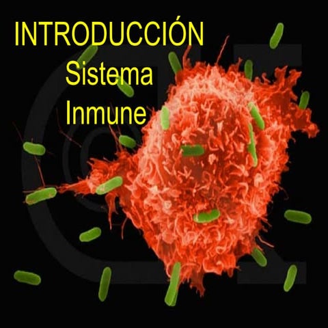 Salud y enfermedad 4 medio