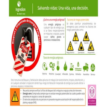 TOPICOS TEMAS EN GENERAL PARA RIJ REUNION DE TRABAJO SEGURO | PDF