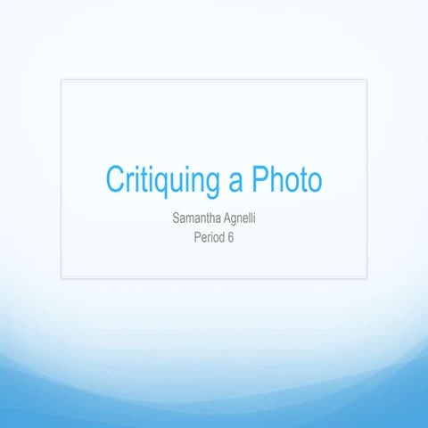 SamAgnelli_HowToCritique