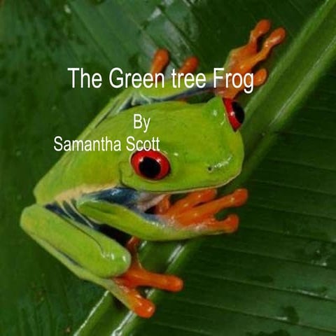 Samantha s the green tree frog