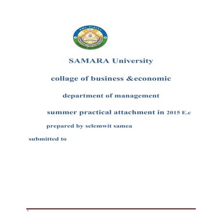 samara report - Copy.docx