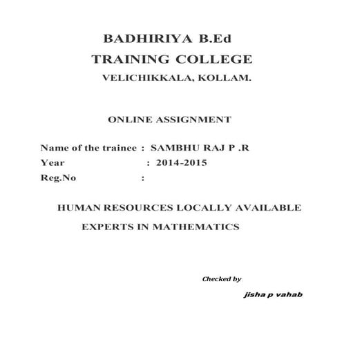 human rescources  locally available experts in mathematics