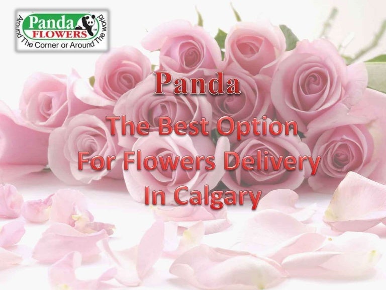 Same day flower deliver in calgary