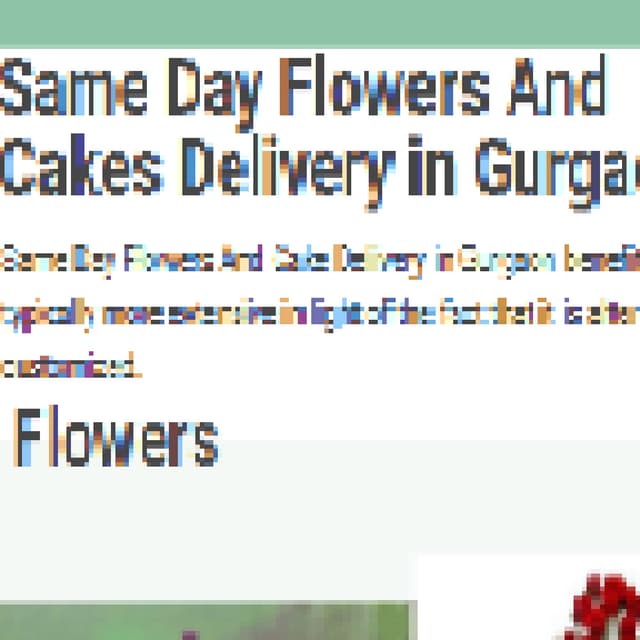 Same day flowers and cakes delivery in gurgaon PDF