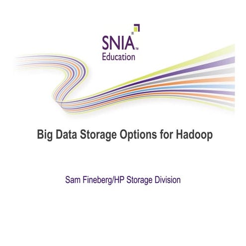 Sam fineberg big_data_hadoop_storage_options_3v9-1
