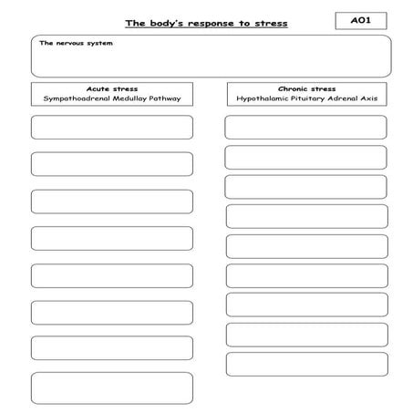 Sam & hpa note sheet