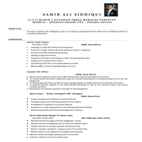 Cv muhammad ali | DOCX