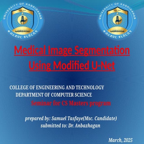 SAMI seminary presentation- for image.pptx