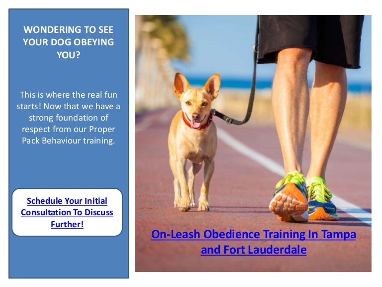 private dog training