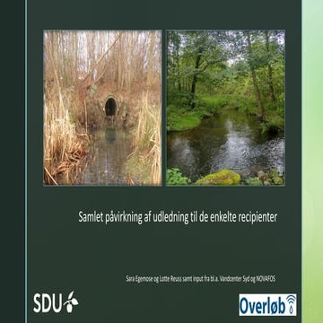Samlet-påvirkning-af-udledninger-til-de-enkelte-recipienter