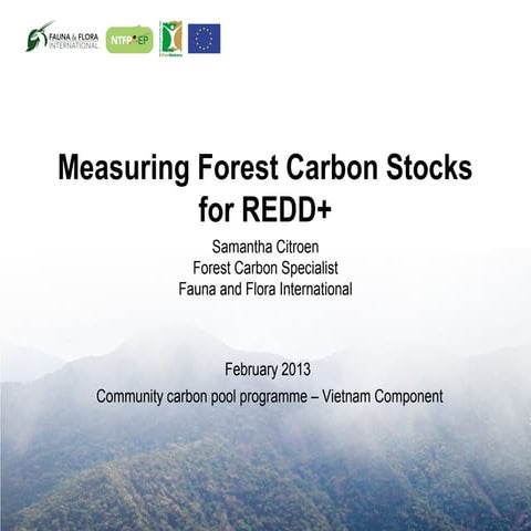 Measuring Forest Carbon Stock 