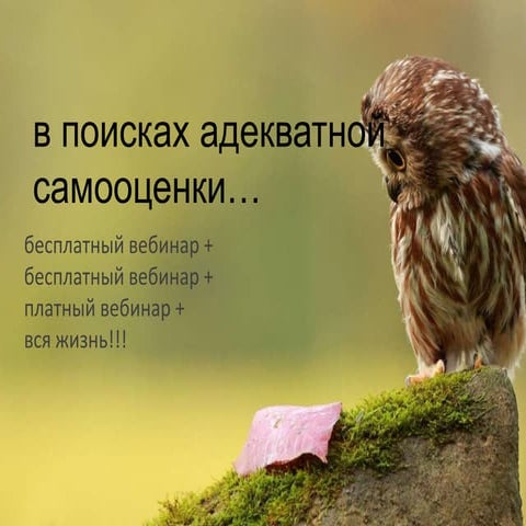 Samoocenka webinar 1day