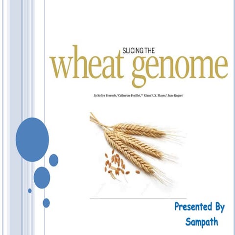 The Wheat Genome