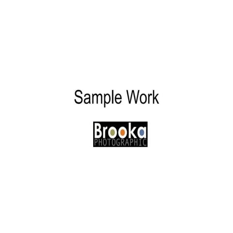Work sample | PDF