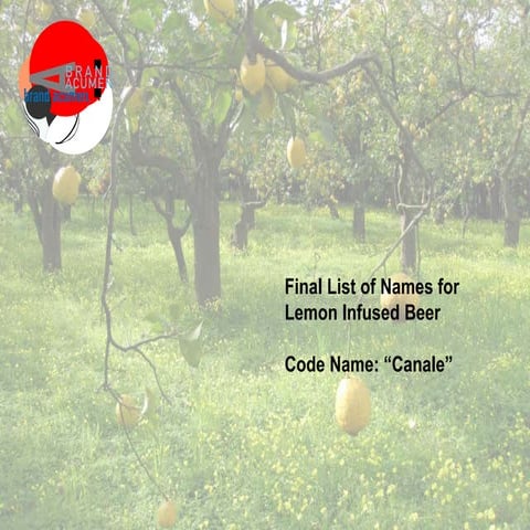 Sample lemon beer name development